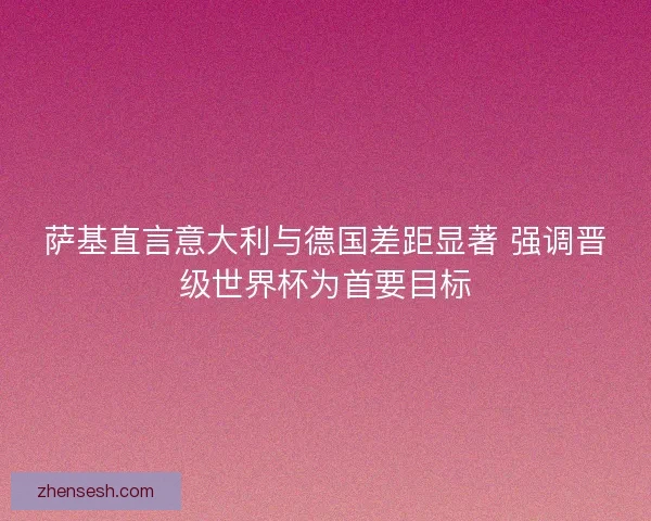 萨基直言意大利与德国差距显著 强调晋级世界杯为首要目标